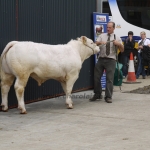WCC Nagy-Britannia 2012 - DZ